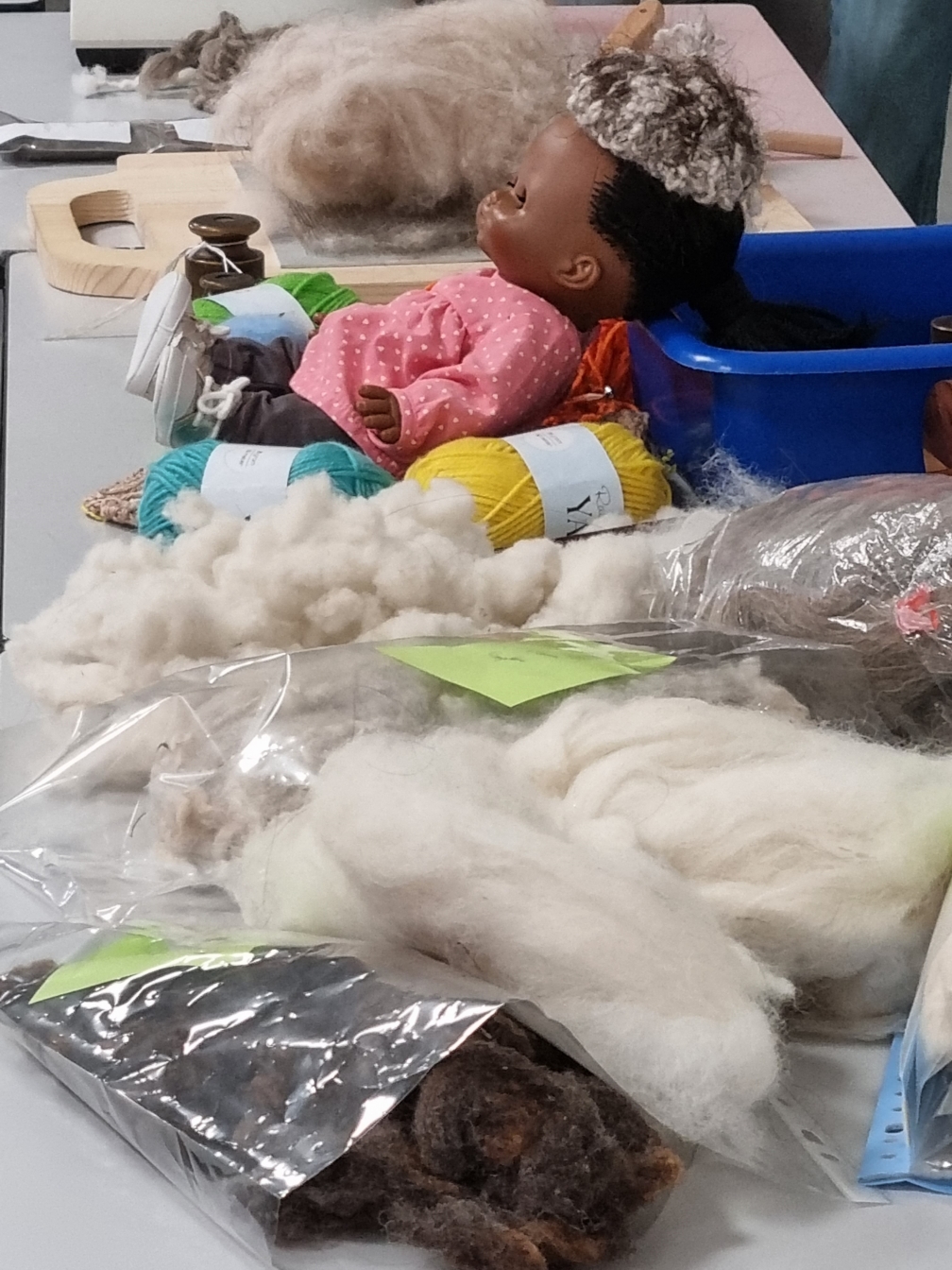 Concours FDS 2026 FST UPEC, projet scientifique sur les vêtements avec des cheveux