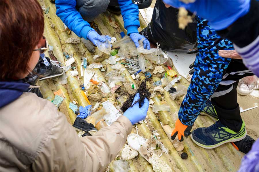 Récolte de déchets après un nettoyage de plage. Shutterstock 