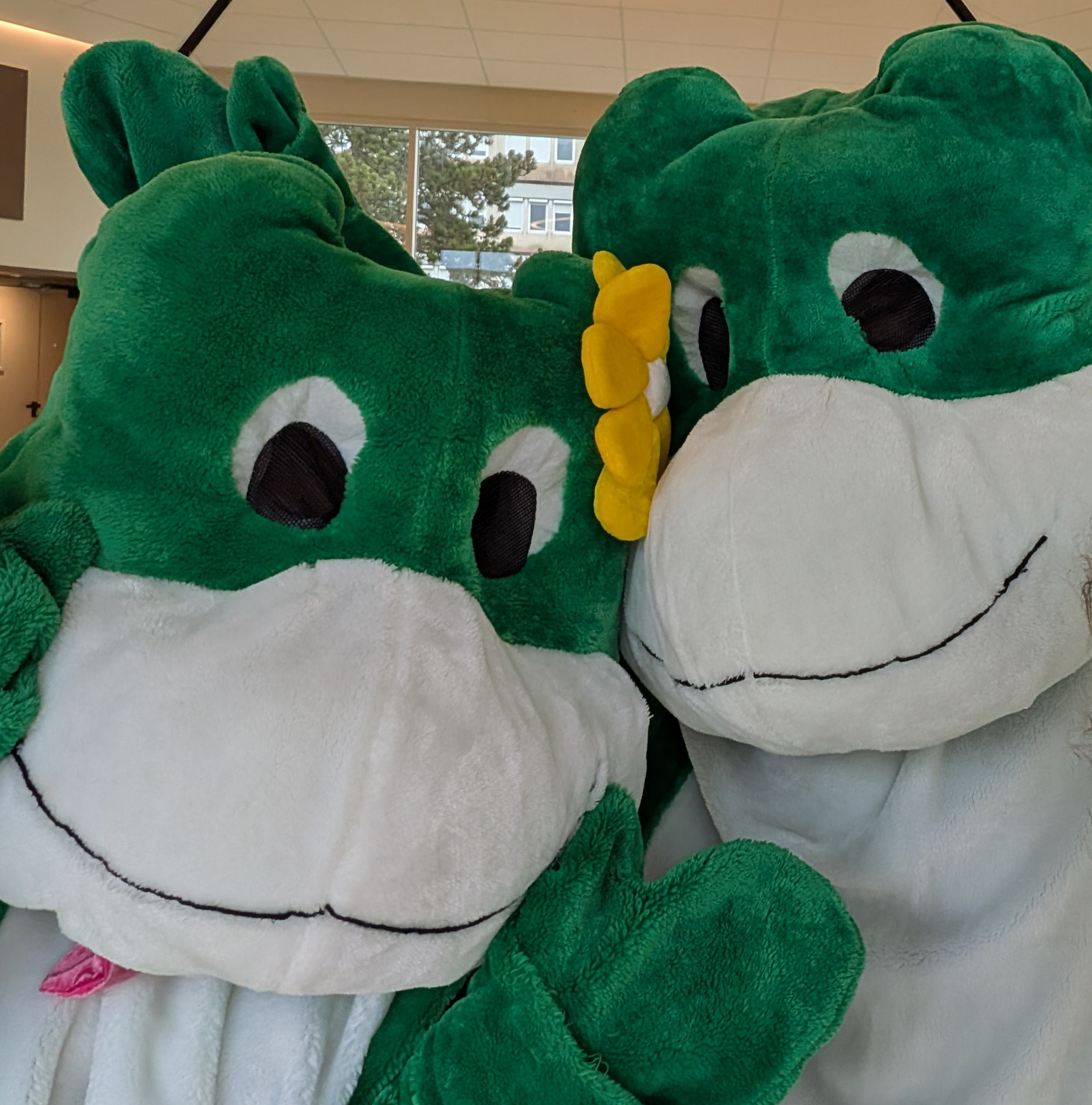 Froggy et Frogettes, les grenouilles mascottes du STBDE UPEC