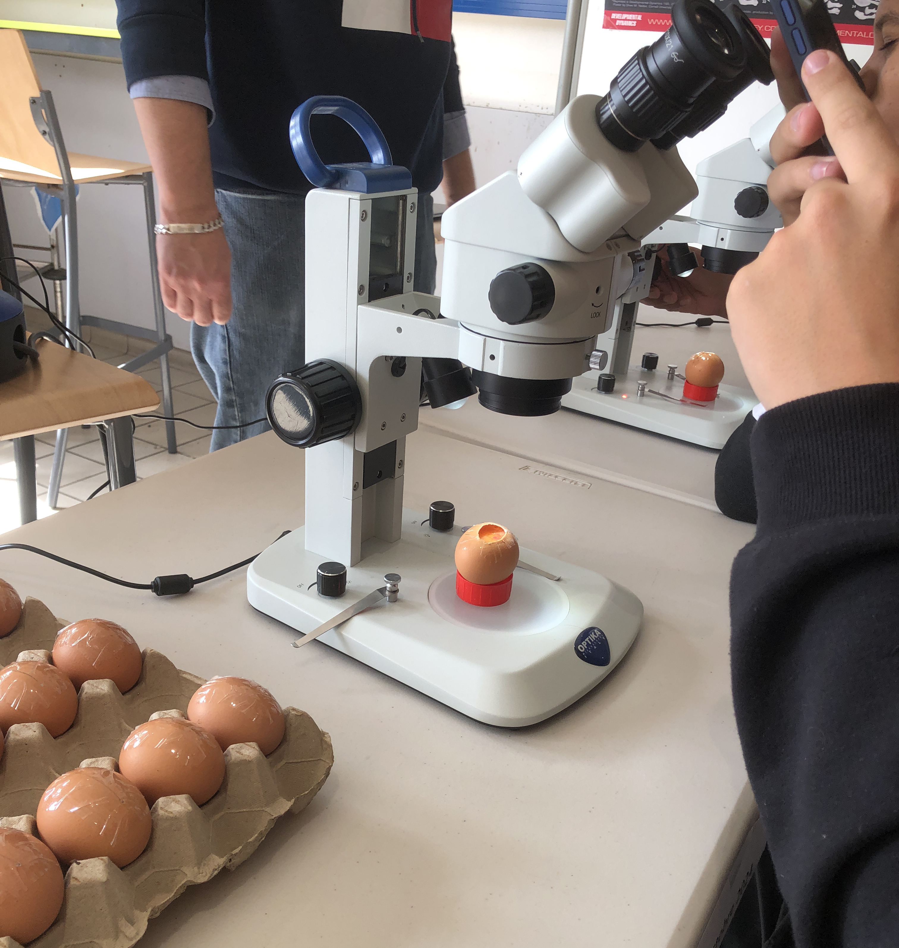 Fête de la science FST UPEC octobre 2024