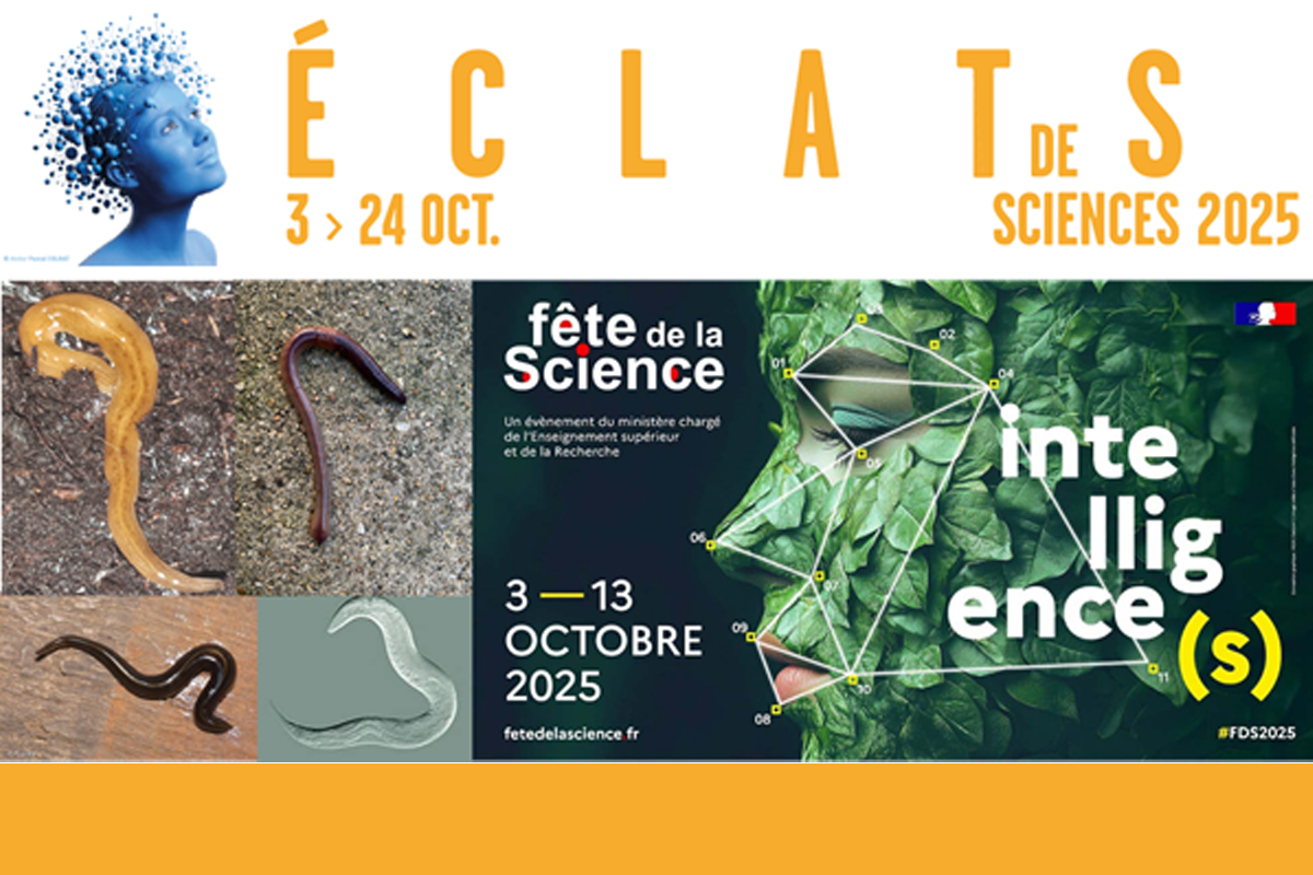 Visuel conférence IEES Paris Eclats de science 2025